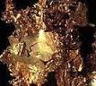 Gold nugget