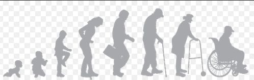 Life Span