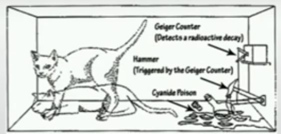 shrodinger's cat