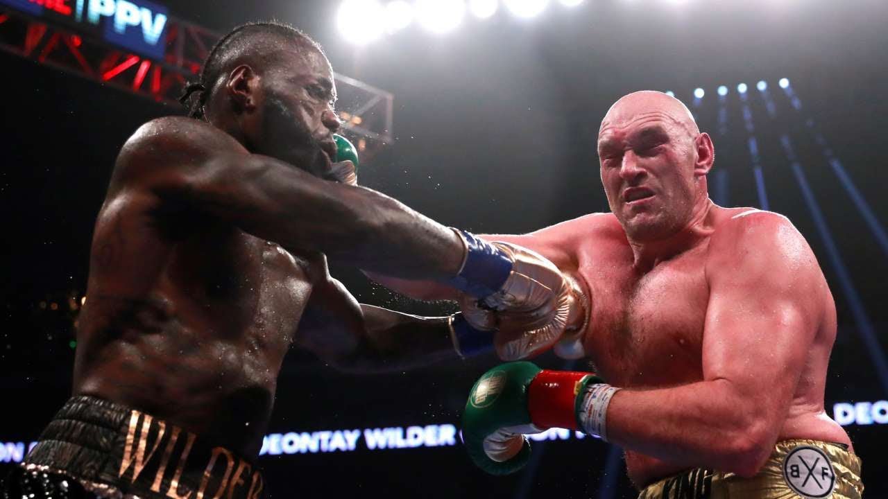 wilder fury fight