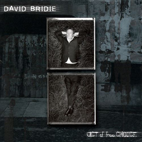 David Bridie 2000